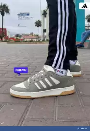 Catálogo Footloose Página 73