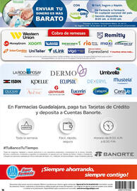 Folleto Farmacias Guadalajara Página 16