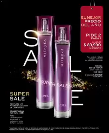 Catálogo L'bel Página 102