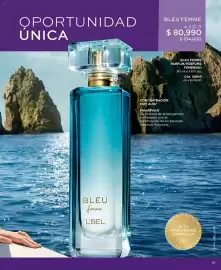 Catálogo L'bel Página 53