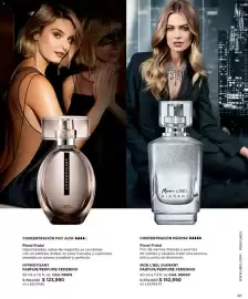 Catálogo L'bel Página 63