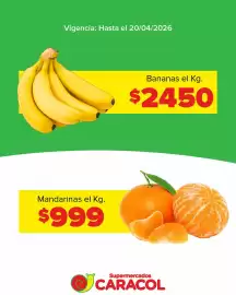 Catálogo Supermercados Caracol Página 2