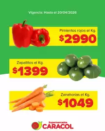 Catálogo Supermercados Caracol Página 3