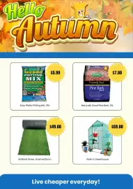 Cheap as Chips catalogue Page 2