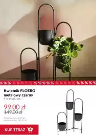 Homla gazetka tydzień 16 Strona 11