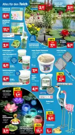 Thomas Philipps Prospekt woche 17 Seite 13