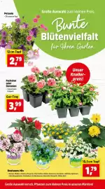 Thomas Philipps Prospekt woche 17 Seite 2