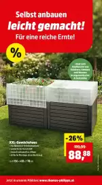 Thomas Philipps Prospekt woche 17 Seite 5