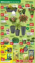 Thomas Philipps Prospekt woche 17 Seite 6