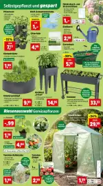 Thomas Philipps Prospekt woche 17 Seite 7