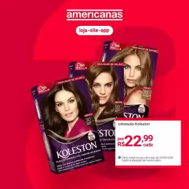 Encarte Lojas Americanas Página 2
