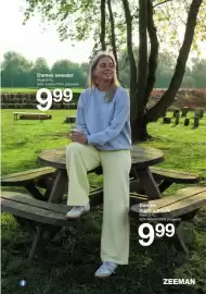 Zeeman folder Pagina 11