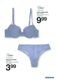 Zeeman folder Pagina 31