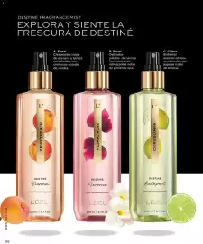 Catálogo L'Bel Página 100