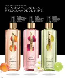 Catálogo L'Bel Página 92