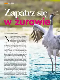 Dbam o Zdrowie gazetka Strona 8