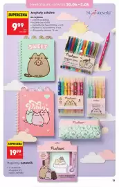 Biedronka gazetka Strona 13