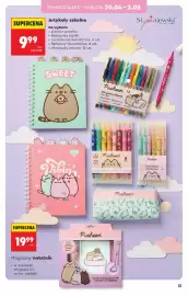 Biedronka gazetka Strona 13