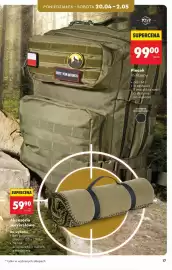 Biedronka gazetka Strona 17