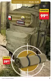 Biedronka gazetka Strona 17