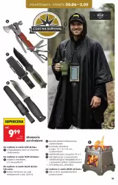 Biedronka gazetka Strona 19