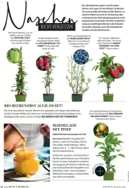 Dehner Flugblatt Seite 18