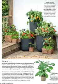 Dehner Flugblatt Seite 20