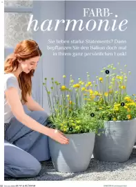 Dehner Flugblatt Seite 22