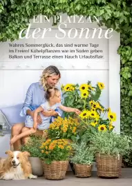 Dehner Flugblatt Seite 30