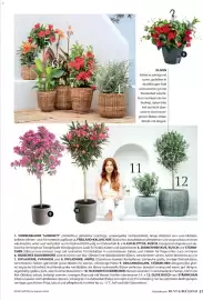 Dehner Flugblatt Seite 31