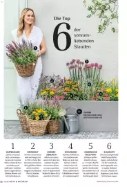 Dehner Flugblatt Seite 32