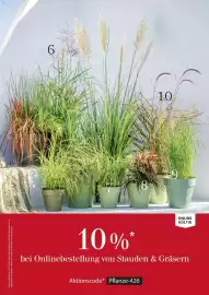 Dehner Flugblatt Seite 35