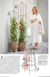 Dehner Flugblatt Seite 43