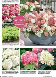 Dehner Flugblatt Seite 46