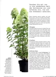 Dehner Flugblatt Seite 47