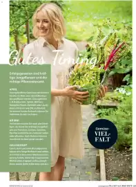 Dehner Flugblatt Seite 51