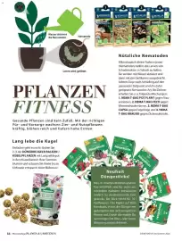 Dehner Flugblatt Seite 56