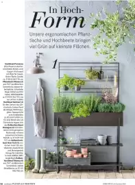 Dehner Flugblatt Seite 58