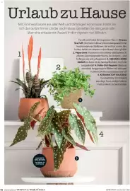 Dehner Flugblatt Seite 78