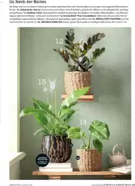 Dehner Flugblatt Seite 81