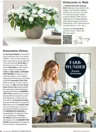 Dehner Flugblatt Seite 82