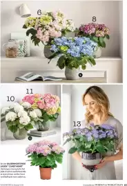 Dehner Flugblatt Seite 83