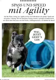 Dehner Flugblatt Seite 84