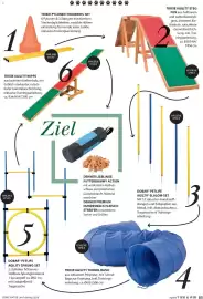 Dehner Flugblatt Seite 85