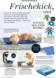 Dehner Flugblatt Seite 86