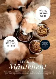 Dehner Flugblatt Seite 88