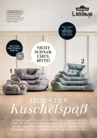 Dehner Flugblatt Seite 91