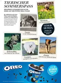 Dehner Flugblatt Seite 97