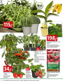 Bauhaus leták Strana 2