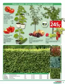 Bauhaus leták Strana 3